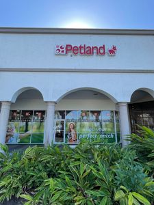 Petland Naples photo 41