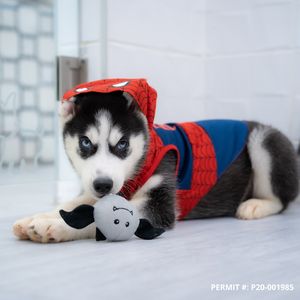 Petland Naples photo 48