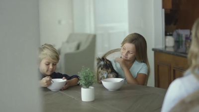 Petland Naples photo 2