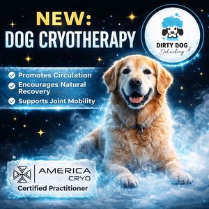 Dirty Dog Detailing Naples