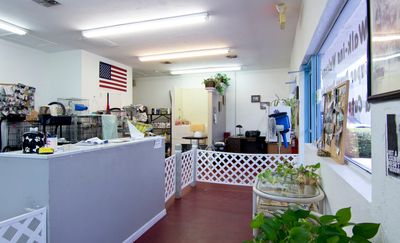 Custom Grooming photo 14