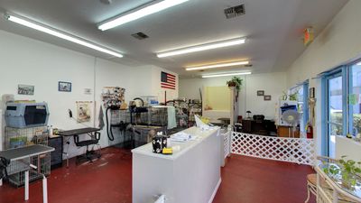 Custom Grooming photo 27