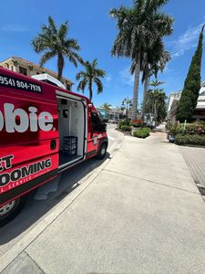 Abbie Pet Grooming - Business Location