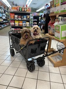 Green Earth Pet Salon