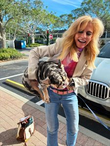 Pet Paradise Naples photo 29