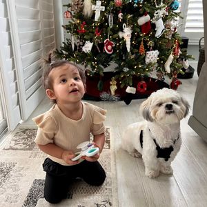 Pet Paradise Naples photo 32