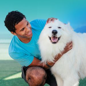 Pet Paradise Naples photo 35