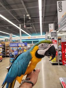 Petco photo 12