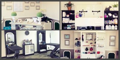 Shear luxury pet styling photo 14