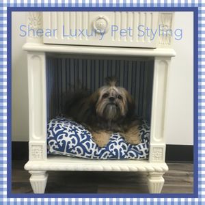 Shear luxury pet styling photo 42