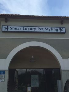 Shear luxury pet styling photo 49