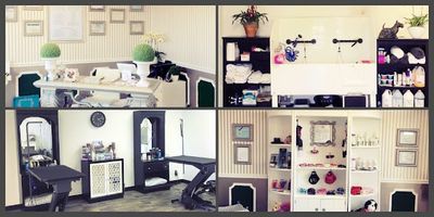 Shear luxury pet styling photo 20