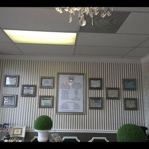 Shear luxury pet styling photo 25