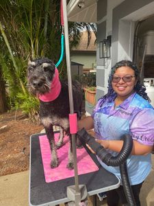 puppy love, luxury, concierge, grooming, service