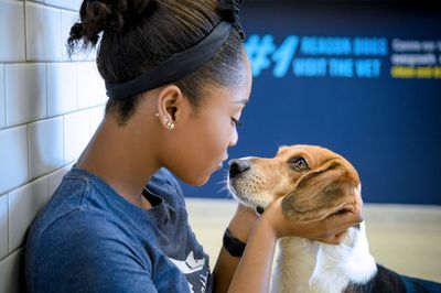 Scenthound Naples Eagle Creek photo 3