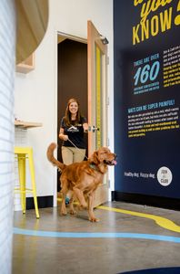 Scenthound Naples Eagle Creek