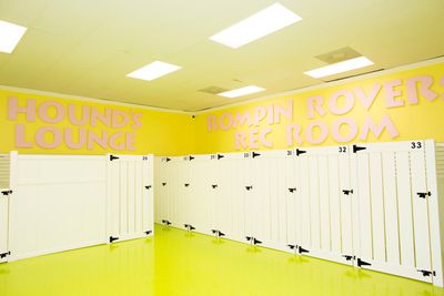 Love My Dog Resort & Spa photo 3