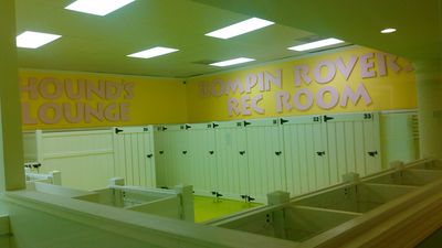 Love My Dog Resort & Spa photo 7