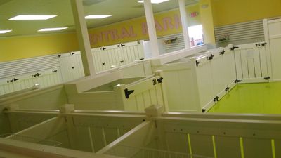 Love My Dog Resort & Spa photo 8