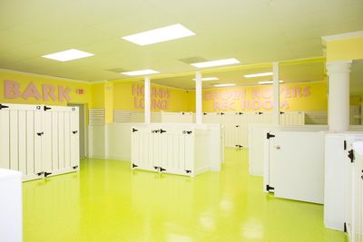 Love My Dog Resort & Spa photo 10