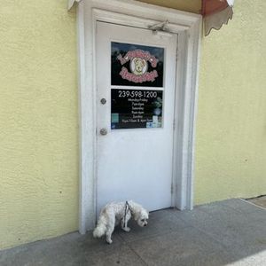 Love My Dog Resort & Spa photo 16