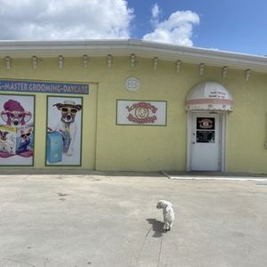 Love My Dog Resort & Spa photo 21