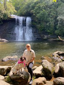 Paw-sitive Pet Nanny Naples