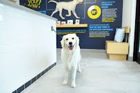 Scenthound Naples Pine Ridge photo 8