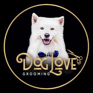 Dog love grooming