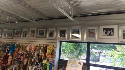 Wholesome Hound Natural Pet Market photo 10