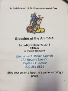 Wholesome Hound Natural Pet Market photo 22