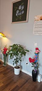 Sunflower Massage Spa & Sauna photo 9