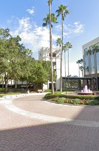 ALI AESTHETICS photo 3