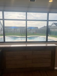 Pet Paradise Apollo Beach photo 10