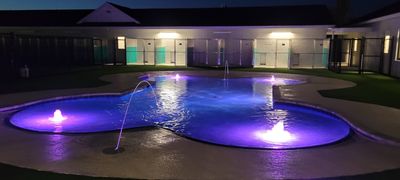 Pet Paradise Apollo Beach photo 23