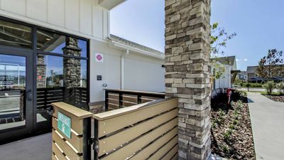 Pet Paradise Apollo Beach photo 38