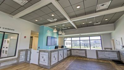 Pet Paradise Apollo Beach photo 40