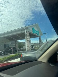 Pet Paradise Apollo Beach photo 41