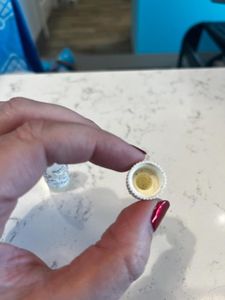 Pet Paradise Apollo Beach photo 44