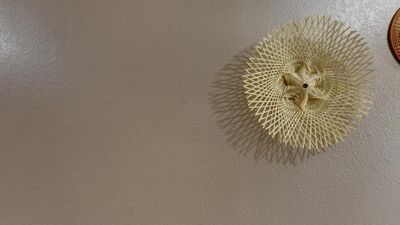 Skin Science photo 16