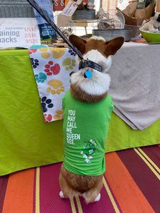 Woof Creek Pet Wellness