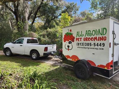 All Around Pet Grooming
