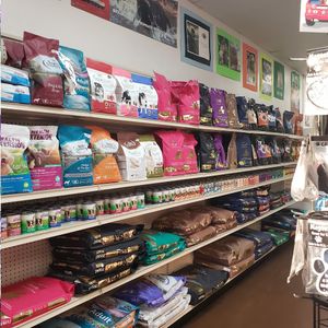 Adogable Pet Services - Business Location