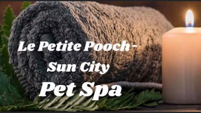 Le Petite Pooch – Sun City