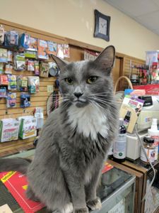 Kims Natural Pet Foods