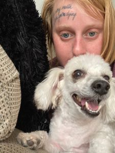 Shampooches photo 12