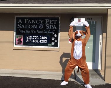 A Fancy Pet Salon & Spa,LLC - Business Location