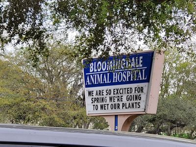 Bloomingdale Animal Hospital photo 12