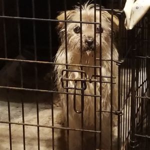 Bloomingdale Animal Hospital photo 16