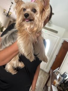 Bloomingdale Animal Hospital photo 27